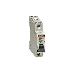 Type D 1 Pole Miniature Circuit Breakers (MCB's)