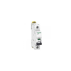 Type B 1 Pole Miniature Circuit Breakers