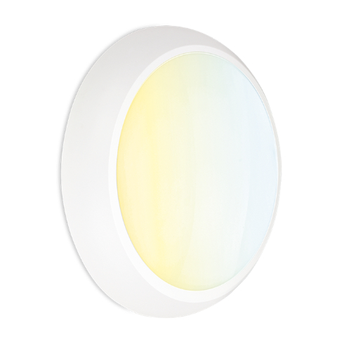 LED - Aurora Mestor CWS Bulkhead