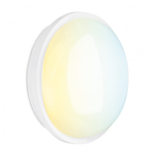 LED - Aurora Utilite Bulkheads