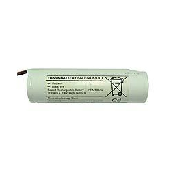 Yuasa 2xD cells 2.4v Replacement Emergency battery stick Lead & Plug