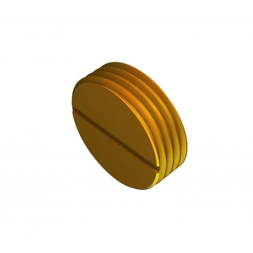 Metpro 20mm Brass slotted stopping plug