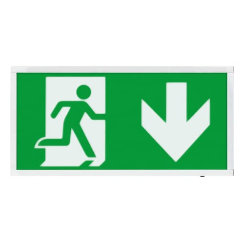 ESP D120SDWH 3w LED Switchable Selftest Exit Box with Arrow Down Legend